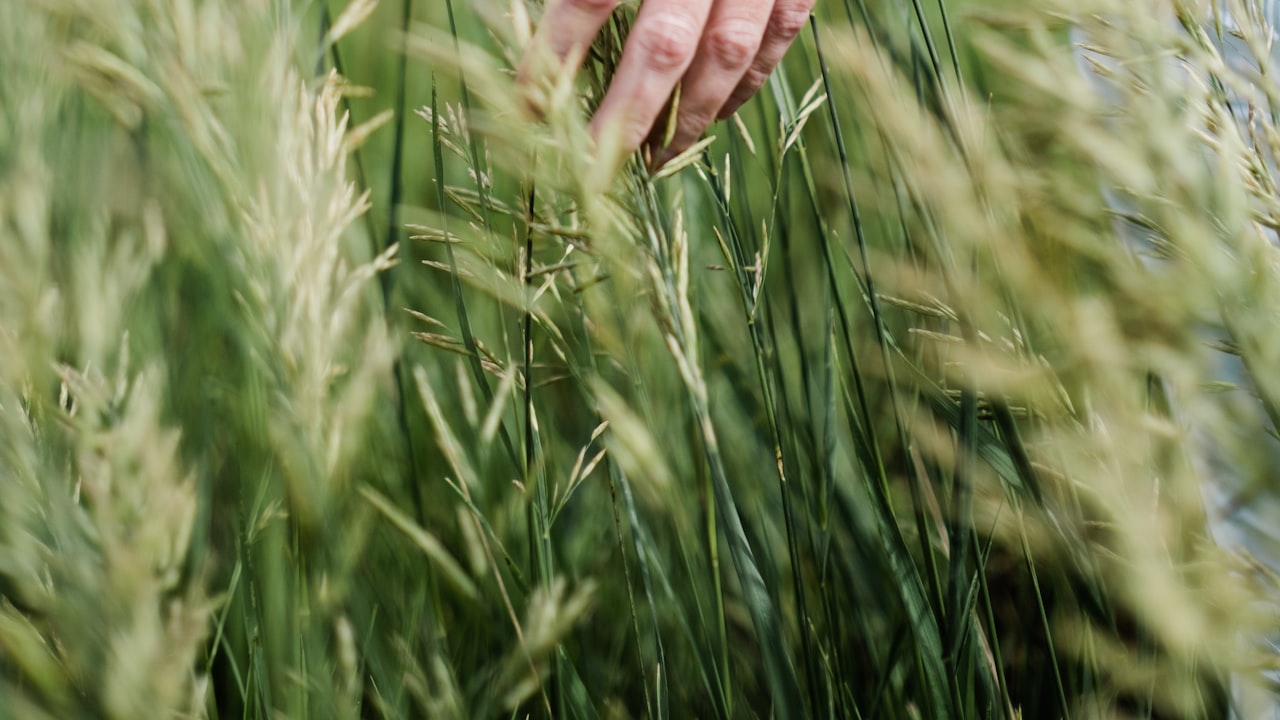 Bugs Off Bracelet: Boosting Kids' Social Skills