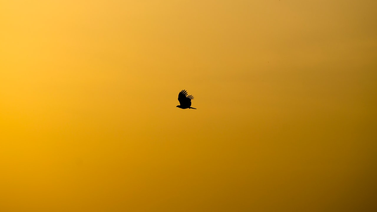 Creative Ways to Use a Gold Console Table
