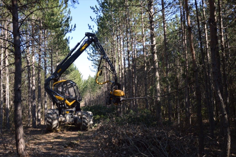 Forestry Teeth vs Road Milling Bits: Why Carbide Cutting Tools Aren't Interchangeable